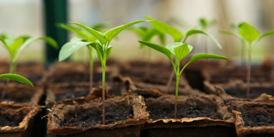 L'utilisation de l'énergie en permaculture